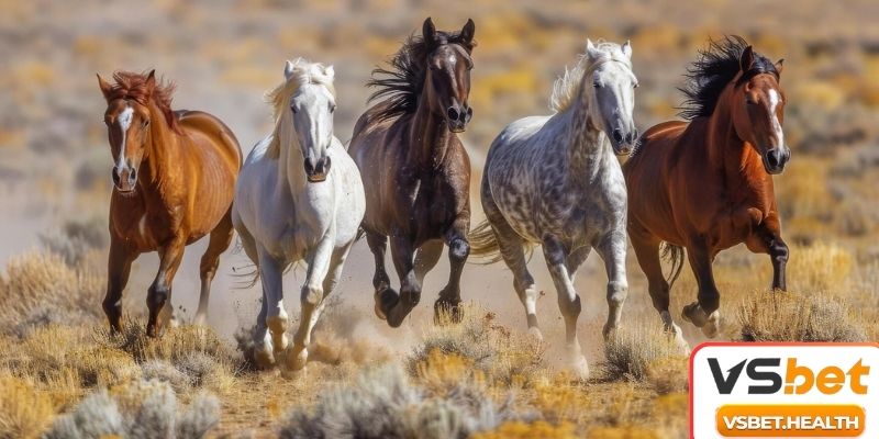 Mơ Thấy Ngựa Tốt Hay Xấu, Chuyên Gia Gợi Ý Con Số